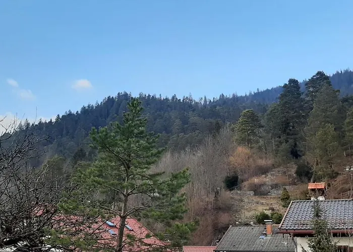 Lejlighed Im Hasental *